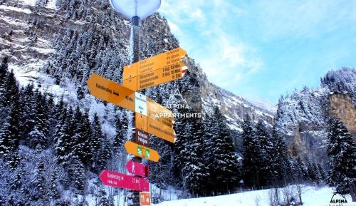 Apartment with Mountain View