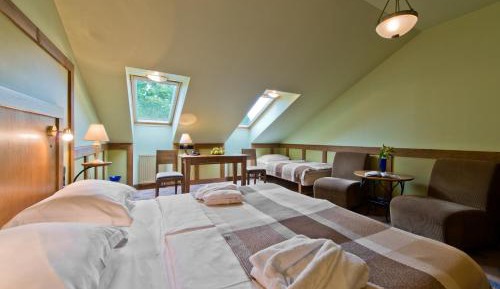 Double or Twin Room with Sauna and Jacuzzi access