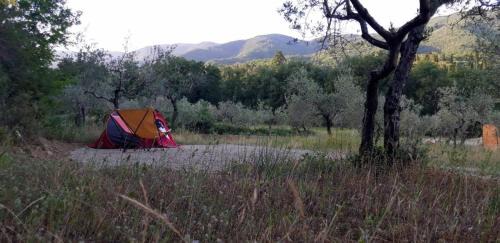Empty Lot (bring your own tent)
