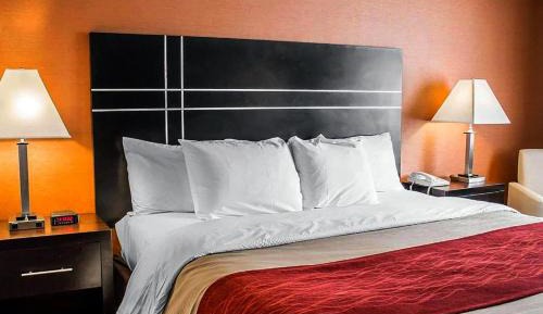 Standard King Room