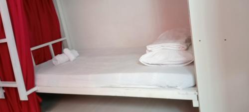 Bunk Bed in Mixed Dormitory Room