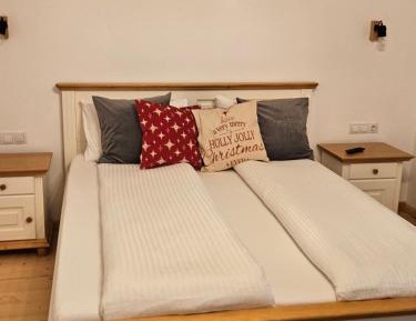 Double or Twin Room with Private Bathroom