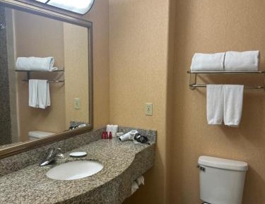 Standard King Room