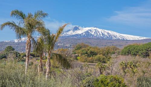 Superior Apartment with City View