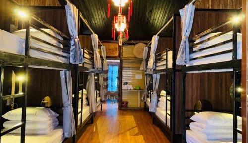 Bunk Bed in Mixed Dormitory Room