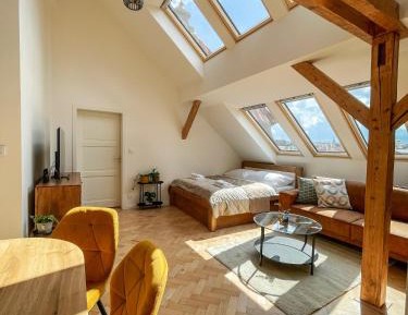 Superior Apartment