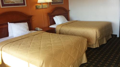 Standard Double Room - Non-Smoking