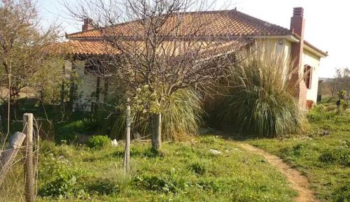 One-Bedroom House
