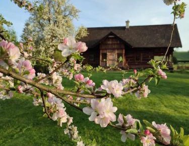 Quadruple Room with Bathroom
