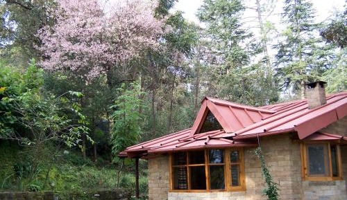 Two-Bedroom Chalet