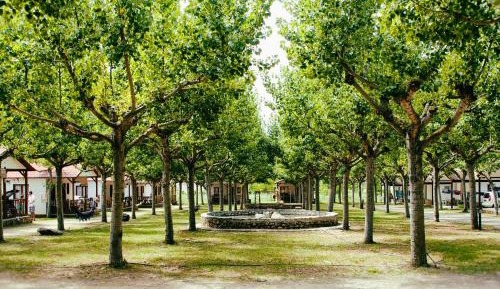 Two-Bedroom Bungalow