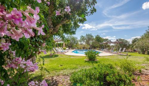 Studio with Terrace and Garden View