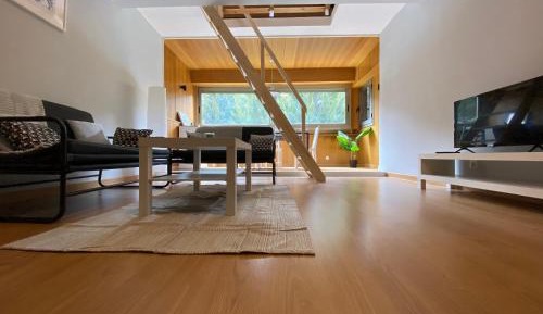 Duplex Apartment