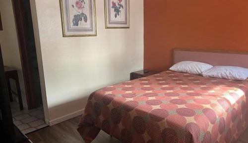 Budget Single Room