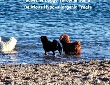 Robins Nest Shepherds Hut