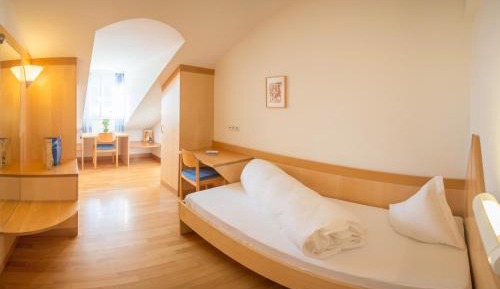 Standard Single Room with Mountain View