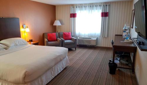 Traditional, Guest room, 1 King
