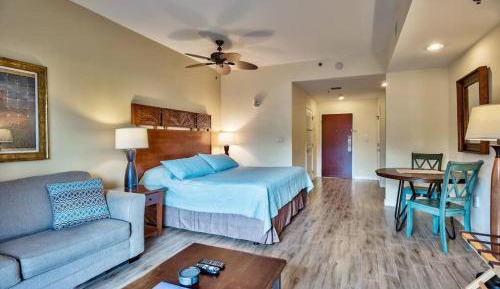 Studio Apartment