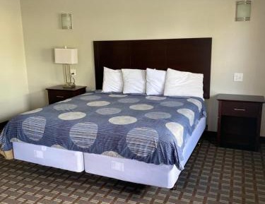 Large Single Room