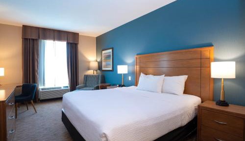 Standard Room, 1 King Bed