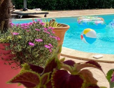 Deluxe Double Room (2 Adults + 1 Child)