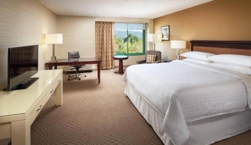 Guest Room, 1 King