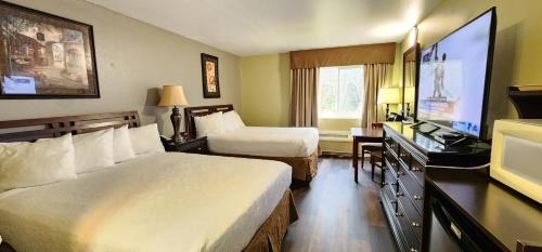 Two Queen Deluxe Room