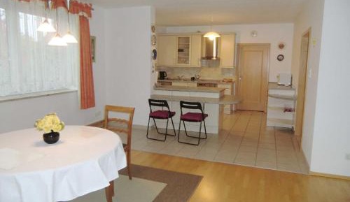 One-Bedroom Apartment with Shower