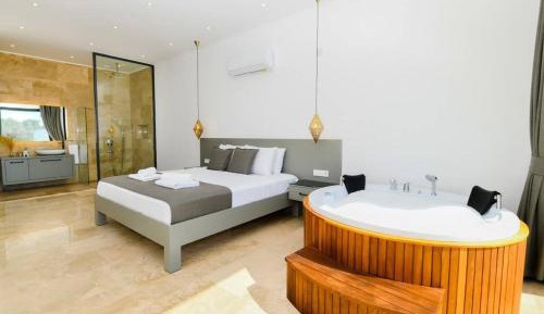 One-Bedroom Villa