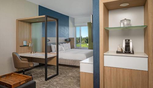 King Suite with Sofa Bed