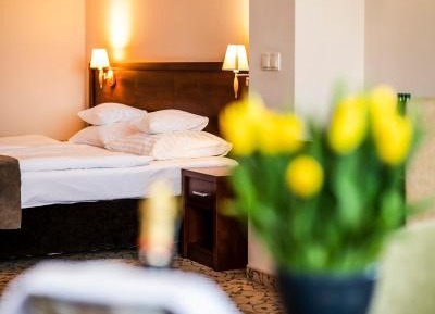Superior Double or Twin Room with Terrace