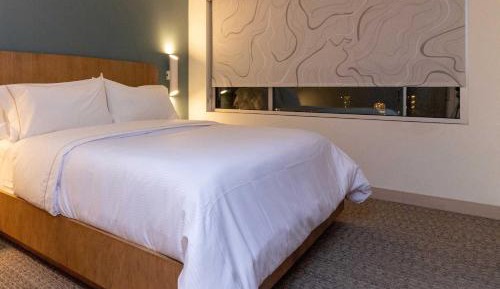 1 Bedroom Suite, 1 King, Sofa bed