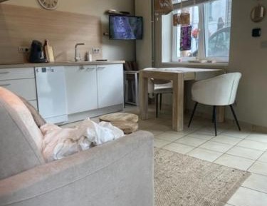 Studio with Sofa Bed
