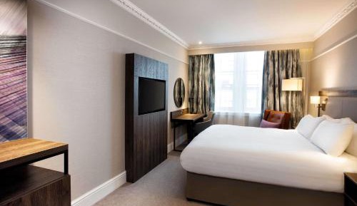 King Guest Room