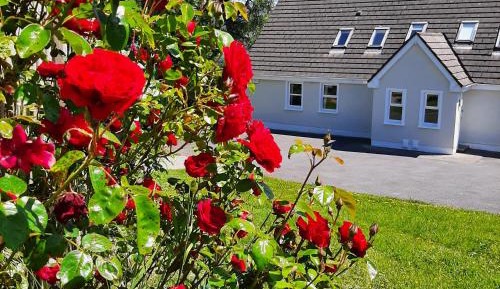 Three-Bedroom Cottage
