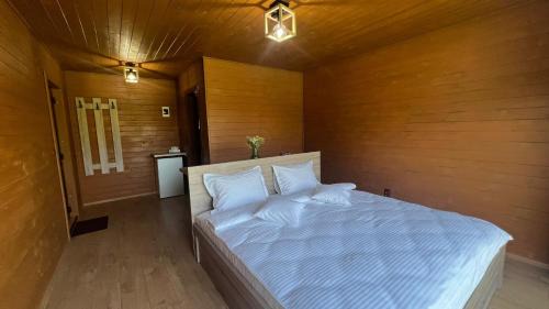 King Room with Mountain View