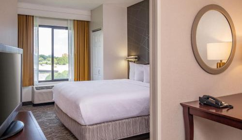  Suite, 1 King Bed, Microwave/Mini Fridge, Sofa Bed, Living Space