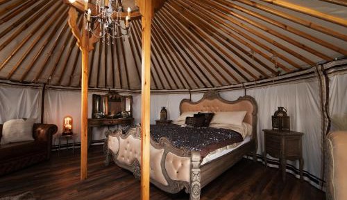 Tent