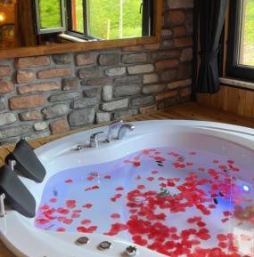 Suite with Mountain View