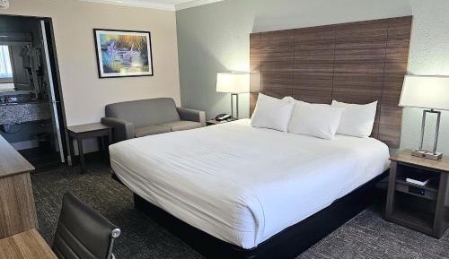 King Room - Disability Access