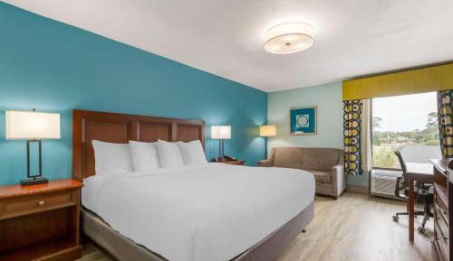 King Room - Disability Access/Non-Smoking