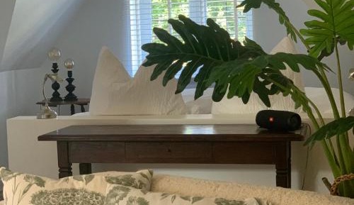 Apartment with Shower