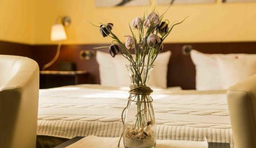 Double Room Single Use