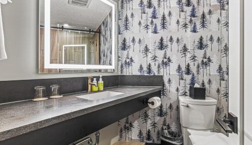 King Suite (Not Pet Friendly)