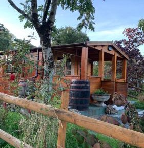 One-Bedroom Chalet