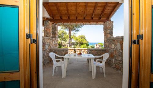 Studio with Terrace
