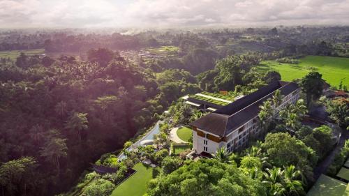 Deluxe Guest Room, 1 King Bed, Pool View, and Balcony with FREE Access to the Farm, FREE Family Activities, Daily Yoga, Daily Aquacise, and 24-Hour Access to the Westin WORKOUT®️ Fitness Studio.