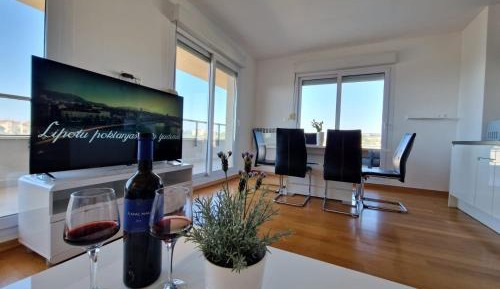 Penthouse Apartment