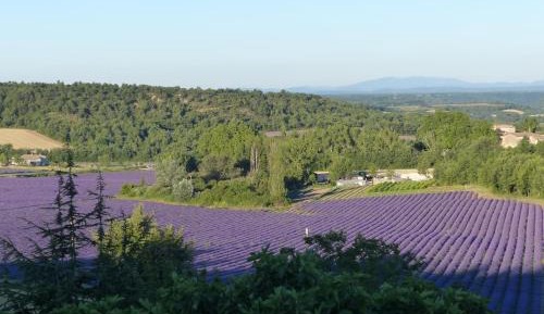 Double Room with View