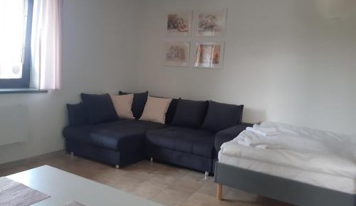 Superior Family Room